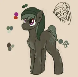 Size: 992x983 | Tagged: oc name needed, safe, artist:ahorseofcourse, oc, unofficial characters only, pony, taiga pony, female, fluffy, image, mare, mushroom, nisselue, png, reference sheet, shaman, shamare, simple background, solo, yellow background