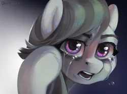 Size: 968x716 | Tagged: safe, alternate version, artist:jewellier, derpibooru import, marble pie, earth pony, pony, bust, crying, female, hoof in mane, hoof on head, image, looking at you, looking back, marble pie is not amused, mare, open mouth, png, portrait, teardrop, unamused
