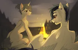Size: 4246x2752 | Tagged: safe, artist:teturirusu, derpibooru import, oc, oc:dia, pegasus, unicorn, campfire, commission, image, looking at each other, looking at someone, night, piercing, png, ych result
