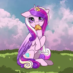 Size: 800x800 | Tagged: safe, artist:lailyren, derpibooru import, princess cadance, alicorn, pony, cute, cutedance, female, food, image, mare, nom, png, solo, waffle