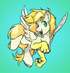 Size: 3442x3589 | Tagged: safe, artist:opalacorn, derpibooru import, oc, oc:exist, hippogriff, hybrid, pony, cute, flying, griffequus, happy, image, jpeg, paws, soft, wings