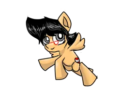 Size: 740x555 | Tagged: safe, derpibooru import, oc, oc:nicky, unofficial characters only, pegasus, glasses, image, pegasus oc, png, simple background, solo, transparent background, wings