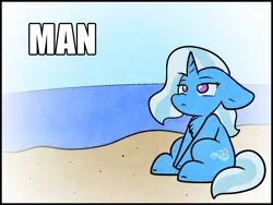 Size: 1481x1113 | Tagged: safe, artist:zutcha, derpibooru import, trixie, pony, unicorn, beach, chest fluff, cute, diatrixes, female, floppy ears, frown, image, jpeg, mare, meme, no pupils, sitting, solo, text