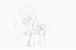 Size: 2429x1585 | Tagged: safe, artist:purppone, ponerpics import, fluttershy, pony, image, jpeg, monochrome, sketch, solo