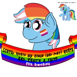 Size: 2000x2000 | Tagged: safe, anonymous editor, artist:da bunnana king, edit, rainbow dash, pegasus, pony, /s4s/, 4chan, dyed mane, face paint, female, gay pride flag, image, lesbian, lesbian pride flag, lgbt, lgbtq, mane dye, mare, mouthpiece, multicolored hair, multicolored mane, old banner, open mouth, open smile, png, pride, pride flag, protest, rainbow, rainbow flag, raised hoof, simple background, smiley face, smiling, solo, spread wings, stock vector, text, transgender, transgender pride flag, vulgar, white background, wings