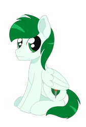 Size: 1024x1517 | Tagged: safe, artist:dyonys, derpibooru import, oc, oc:herald flame, unofficial characters only, pegasus, pony, image, male, pegasus oc, png, simple background, sitting, solo, stallion, transparent background, wings