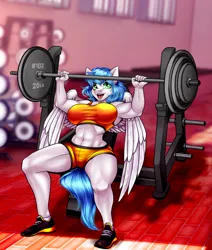 Size: 1766x2086 | Tagged: suggestive, artist:littlebird, derpibooru import, oc, anthro, pegasus, plantigrade anthro, abs, barbell, bench, biceps, big breasts, breasts, busty oc, clothes, exercise, feathered wings, female, female oc, gym, hips, image, jpeg, looking at you, muscles, muscular female, open mouth, pegasus oc, pegasus wings, shoes, shorts, sitting, smiling, sneakers, solo, sports bra, sports shorts, tail, thighs, thunder thighs, weight lifting, weights, wings, workout, workout outfit
