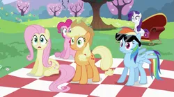 Size: 993x557 | Tagged: safe, derpibooru import, screencap, applejack, fluttershy, pinkie pie, rainbow dash, rarity, pony, lesson zero, fainting couch, image, picnic blanket, png, sunglasses, tree