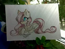 Size: 4080x3072 | Tagged: safe, artist:jsunlight, derpibooru import, fluttershy, pegasus, pony, bow, hair bow, image, jpeg, lying down, prone, solo, traditional art