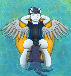 Size: 4616x4880 | Tagged: suggestive, artist:tacomytaco, derpibooru import, soarin', fish, pegasus, pony, arm behind head, briefs, clothes, crotch bulge, eyes closed, from above, goggles, image, male, png, smiling, solo, solo male, speedo, spread wings, swimsuit, underwear, wings