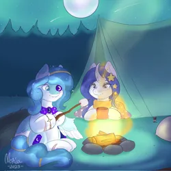 Size: 2048x2048 | Tagged: safe, artist:merisa, derpibooru import, oc, unofficial characters only, pegasus, unicorn, campfire, camping, duo, image, night, png