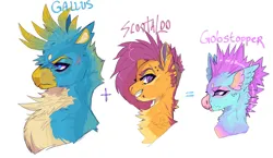 Size: 1172x682 | Tagged: safe, artist:dingobreath, gallus, scootaloo, oc, oc:gobstopper, gryphon, hybrid, pegasus, pony, alternate design, beak, bust, chest fluff, couple, family, female, galloo, griffon oc, image, interspecies offspring, jpeg, male, mare, next generation, offspring, older, older scootaloo, parent:gallus, parent:scootaloo, parents:galloo, piercing, resting bitch face, shipping, simple background, smiling, straight, white background
