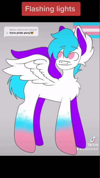 Size: 405x720 | Tagged: safe, ponerpics import, ponybooru import, oc, image, jpeg, pride, pride flag, solo, transgender pride flag