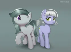 Size: 2844x2072 | Tagged: safe, artist:vinilyart, artist:vinilyart_d, derpibooru import, limestone pie, marble pie, earth pony, pony, duo, duo female, female, hair over one eye, high res, image, mare, pie sisters, png, raised hoof, siblings, simple background, sisters, smiling