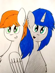 Size: 3000x4000 | Tagged: safe, artist:thunderrainbowshadow, derpibooru import, oc, oc:jazz, oc:silver bell, unofficial characters only, pegasus, pony, unicorn, best friends, duo, duo male, image, male, png, simple background, smiling, stallion, traditional art, white background