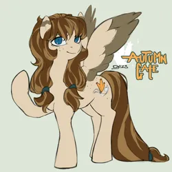 Size: 2000x2000 | Tagged: safe, artist:egil, derpibooru import, oc, unofficial characters only, pegasus, pony, female, image, mare, png, solo