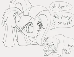 Size: 961x742 | Tagged: safe, artist:dotkwa, derpibooru import, fluttershy, cat, pegasus, pony, cute, dialogue, double entendre, female, gray background, grayscale, image, mare, monochrome, png, shyabetes, simple background, sketch, speech bubble, wet