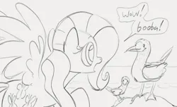 Size: 1166x707 | Tagged: safe, artist:dotkwa, derpibooru import, fluttershy, bird, pegasus, pony, booby, dialogue, double entendre, female, gray background, grayscale, image, mare, monochrome, png, simple background, sketch, spread wings, wings