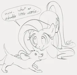 Size: 1003x981 | Tagged: safe, artist:dotkwa, derpibooru import, fluttershy, dog, pegasus, pony, cute, dachshund, dialogue, double entendre, female, gray background, grayscale, image, mare, monochrome, open mouth, open smile, png, shyabetes, simple background, sketch, smiling, solo, speech bubble