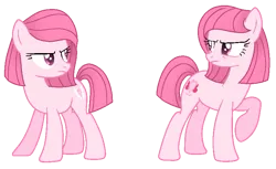 Size: 775x474 | Tagged: safe, artist:muhammad yunus, artist:tersisa, derpibooru import, oc, oc:annisa the good pony, oc:annisa trihapsari, unofficial characters only, earth pony, pony, angry, base used, cousins, duo, duo female, female, image, mare, png, siblings, simple background, transparent background, twins, unamused