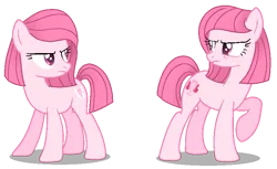 Size: 775x474 | Tagged: safe, artist:muhammad yunus, artist:tersisa, derpibooru import, oc, oc:annisa the good pony, oc:annisa trihapsari, unofficial characters only, earth pony, pony, angry, base used, cousins, duo, duo female, female, image, mare, png, shadow, siblings, simple background, transparent background, twins, unamused