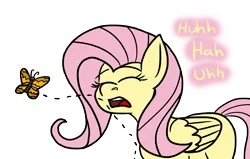 Size: 12000x7648 | Tagged: safe, artist:graymist, derpibooru import, fluttershy, butterfly, insect, pony, colored, cute, eyelashes, eyes closed, female, image, innocent, mare, missing cutie mark, nostril flare, nostrils, open mouth, png, pre sneeze, simple background, sneezing, transparent background