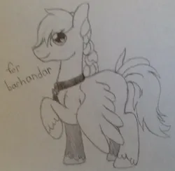 Size: 700x684 | Tagged: artist needed, source needed, safe, oc, oc:windswept skies, unofficial characters only, pegasus, pony, braid, charm, collar, femboy, image, jpeg, looking at you, male, raised leg, solo, spread wings, stallion, traditional art, unshorn fetlocks, wings