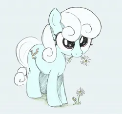 Size: 1604x1503 | Tagged: safe, anonymous artist, linky, shoeshine, earth pony, pony, cute, eating, eating flower, female, flower, happy, image, jpeg, linkybetes, mare, simple background, solo