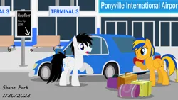 Size: 11000x6208 | Tagged: safe, artist:creedyboy124, derpibooru import, oc, oc:flare spark, oc:shane park, unofficial characters only, pony, airport, bags, bench, car, date, female, image, male, mare, meeting, png, ponyville, sign, signature, stallion, terminal