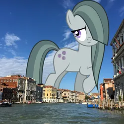 Size: 1080x1080 | Tagged: safe, artist:fruft, derpibooru import, edit, editor:jaredking779, marble pie, earth pony, pony, female, giant pony, giantess, hair over one eye, highrise ponies, image, irl, italy, jpeg, macro, mare, photo, ponies in real life, raised hoof, solo, venice