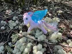 Size: 4032x3024 | Tagged: safe, derpibooru import, star catcher, pegasus, pony, g3, body markings, ceratiola ericoides, cladonia evansii, cladonia perforata, cladonia prostrata, dappled sunlight, female, florida, image, irl, jpeg, lichen, long hair, long tail, mare, photo, pinecone, shade, shrub, solo, spread wings, tail, tinsel, toy, turned head, wings