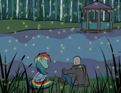 Size: 3300x2550 | Tagged: safe, artist:vareb, derpibooru import, rainbow dash, oc, oc:anon, firefly (insect), human, insect, pegasus, pony, cute, date, date night, forest, gazebo, grass, image, lake, night, peaceful, png, pretty, tree, water
