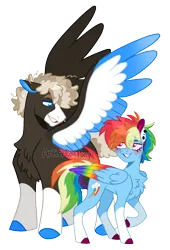 Size: 1776x2617 | Tagged: safe, artist:artistcoolpony, derpibooru import, dumbbell, rainbow dash, pegasus, pony, alternate design, blushing, chest fluff, coat markings, colored hooves, colored wings, dumbdash, duo, female, image, larger male, male, mare, multicolored wings, png, rainbow wings, shipping, simple background, size difference, smaller female, socks (coat marking), stallion, straight, transparent background, wings