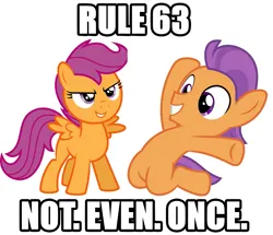 Size: 1481x1275 | Tagged: safe, derpibooru import, scootaloo, tender taps, earth pony, pegasus, pony, on your marks, caption, image, image macro, impact font, meme, not even once, png, rule 63, simple background, text, white background