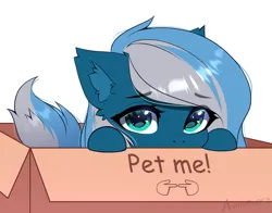 Size: 2773x2170 | Tagged: safe, artist:airiniblock, derpibooru import, oc, oc:vivid tone, unofficial characters only, pegasus, pony, box, commission, ear fluff, fingers together, image, looking at you, pegasus oc, pet request, png, pony in a box, puppy dog eyes, simple background, solo, white background, wings, ych result, your character here