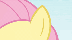 Size: 475x267 | Tagged: safe, derpibooru import, screencap, fluttershy, pegasus, hurricane fluttershy, animated, gif, image, panic, panic attack, you know for kids