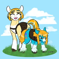 Size: 1280x1280 | Tagged: safe, artist:thiscatdraws, derpibooru import, oc, oc:free spirit, oc:princess wildflower, ponified, unofficial characters only, earth pony, pony, angry, cloud, eyes closed, female, grass, image, jpeg, link, male, mare, princess zelda, shipping, stallion, straight, sweat, sweatdrop, the legend of zelda, the legend of zelda: breath of the wild, the legend of zelda: tears of the kingdom, unshorn fetlocks