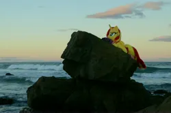 Size: 4928x3264 | Tagged: safe, artist:ponimalion, derpibooru import, sunset shimmer, alicorn, pony, unicorn, australia, beach, clothes, image, irl, jpeg, photo, plushie, port macquarie, socks, solo, sunset, wings