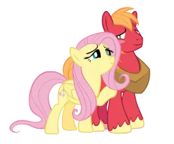 Size: 4500x3750 | Tagged: safe, anonymous artist, derpibooru import, big macintosh, fluttershy, earth pony, pegasus, pony, absurd resolution, bedroom eyes, blushing, duo, female, fluttermac, hoof on shoulder, image, looking at each other, looking at someone, male, mare, png, shipping, simple background, smiling, smiling at each other, stallion, straight, transparent background, vector