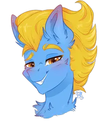 Size: 3100x3500 | Tagged: safe, artist:bananasplitedy, derpibooru import, oc, oc:mechanical star, unofficial characters only, pony, bust, ear fluff, image, male, png, portrait, stallion