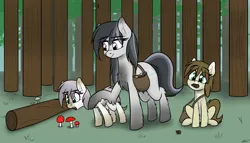 Size: 2645x1515 | Tagged: safe, artist:seafooddinner, oc, oc:meadow frost, oc:snowfall, oc:tundra tracker, unofficial characters only, pony, taiga pony, bag, cute, female, filly, fluffy, fly agaric, forest, image, mare, mouth hold, mushroom, pinecone, png, saddle bag, signature, socks (coat marking), toadstool, tree, trio