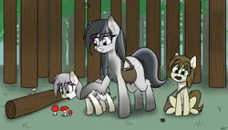 Size: 2645x1515 | Tagged: safe, artist:seafooddinner, oc, oc:meadow frost, oc:snowfall, oc:tundra tracker, unofficial characters only, pony, taiga pony, bag, cute, female, filly, fluffy, fly agaric, forest, image, mare, mouth hold, mushroom, pinecone, png, saddle bag, signature, socks (coat marking), this will end in tummy aches, toadstool, tree, trio