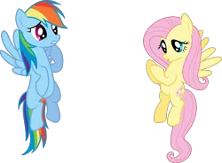 Size: 4000x2939 | Tagged: safe, artist:shutterflyyay, derpibooru import, fluttershy, rainbow dash, pegasus, pony, swarm of the century, duo, female, flying, image, mare, png, simple background, transparent background, vector