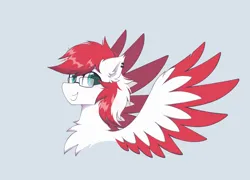 Size: 1864x1339 | Tagged: safe, artist:coarfdraw, derpibooru import, oc, oc:driftbeat, pegasus, pony, blue eyes, chest fluff, colored wings, colored wingtips, ear fluff, ear piercing, glasses, happy, image, looking at you, male, photo, piercing, png, red mane, simple background, smiling, smiling at you, spread wings, stallion, white coat, white fur, wings