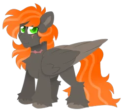Size: 5243x4753 | Tagged: safe, artist:crazysketch101, derpibooru import, oc, oc:ashton burnside, unofficial characters only, pegasus, pony, image, lineless, png, scar, simple background, solo, transparent background