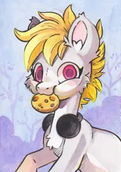 Size: 3437x4889 | Tagged: safe, artist:cutepencilcase, derpibooru import, oc, oc:cookie malou, unofficial characters only, earth pony, pony, art fight, bust, colored pupils, cookie, food, headphones, image, jpeg, mouth hold, nom, portrait, smiling, solo