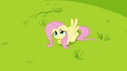 Size: 1920x1080 | Tagged: safe, derpibooru import, screencap, fluttershy, pegasus, pony, hurricane fluttershy, season 2, cute, female, floppy ears, grass, image, looking up, lying down, mare, png, shyabetes, solo