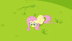 Size: 1920x1080 | Tagged: safe, derpibooru import, screencap, fluttershy, pegasus, pony, hurricane fluttershy, season 2, cute, female, floppy ears, grass, image, looking down, mare, png, shyabetes, solo