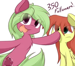 Size: 1125x1000 | Tagged: safe, artist:dshou, derpibooru import, oc, oc:plum, oc:shooting star, unofficial characters only, earth pony, pegasus, pony, boop, duo, female, image, jpeg, looking at you, mare, milestone, simple background, white background