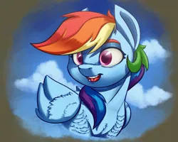 Size: 2500x2000 | Tagged: safe, artist:silverhopexiii, derpibooru import, rainbow dash, pegasus, pony, bust, cloud, female, image, mare, open mouth, open smile, png, portrait, sky, smiling, solo